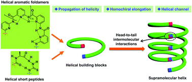 Graphical abstract: Supramolecular helices from helical building blocks via head-to-tail intermolecular interactions
