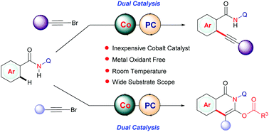 Graphical abstract: Room-temperature C–H bond alkynylation by merging cobalt and photocatalysts