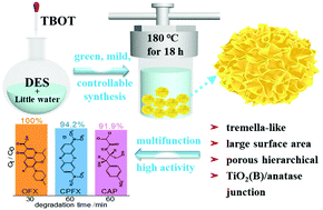Graphical abstract: Green preparation of porous hierarchical TiO2(B)/anatase phase junction for effective photocatalytic degradation of antibiotics
