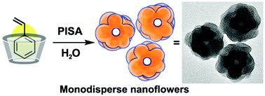 Graphical abstract: Host–guest complexation modulated aqueous polymerization-induced self-assembly for monodisperse hierarchical nanoflowers