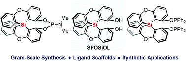 Graphical abstract: Concise synthesis and applications of enantiopure spirobiphenoxasilin-diol and its related chiral ligands