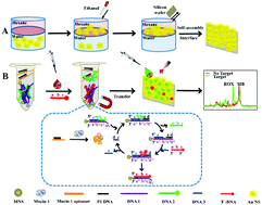 Graphical abstract: Engineering an Au nanostar-based liquid phase interfacial ratiometric SERS platform with programmable entropy-driven DNA circuits to detect protein biomarkers in clinical samples