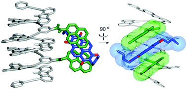 Graphical abstract: Tweezer-type binding cavity formed by the helical folding of a carbazole–pyridine oligomer