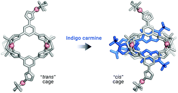Graphical abstract: Coexistence of 1 : 1 and 2 : 1 inclusion complexes of indigo carmine