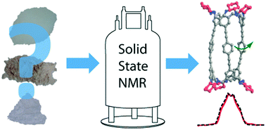 Graphical abstract: Recent advances in probing host–guest interactions with solid state nuclear magnetic resonance