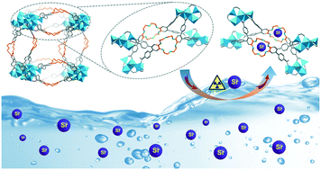Graphical abstract: Efficient capture of Sr2+ from acidic aqueous solution by an 18-crown-6-ether-based metal organic framework