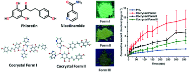 Graphical abstract: Polymorphism and distinct physicochemical properties of the phloretin–nicotinamide cocrystal