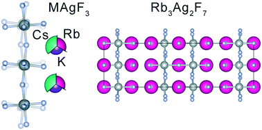 Graphical abstract: Crystal structure, lattice dynamics and superexchange in MAgF3 1D antiferromagnets (M = K, Rb, Cs) and a Rb3Ag2F7 Ruddlesden–Popper phase