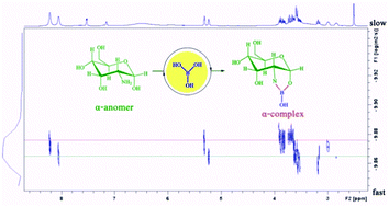 Graphical abstract: Probing the interactions of GlcNH2 with boric acid via NMR spectroscopy