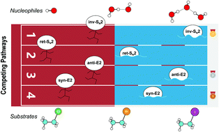 Graphical abstract: Investigating the competing E2 and SN2 mechanisms for the microsolvated HO−(H2O)n=0–4 + CH3CH2X (X = Cl, Br, I) reactions