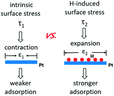 Graphical abstract: Modulation rate on adsorption and catalysis of 2D Pt: the effects of adsorbate-induced surface stress