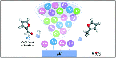 Graphical abstract: Oxygen binding energy of doped metal: a shortcut to efficient Ni-based bimetallic catalysts for the hydrodeoxygenation reaction