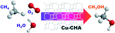 Graphical abstract: Catalytic oxidation of methane to methanol over Cu-CHA with molecular oxygen