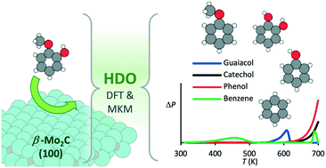 Graphical abstract: Hydrodeoxygenation of guaiacol over orthorhombic molybdenum carbide: a DFT and microkinetic study