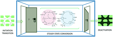 Graphical abstract: The intricacies of the “steady-state” regime in methanol-to-hydrocarbon experimentation over H-ZSM-5