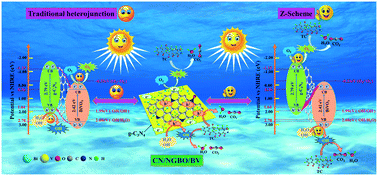 Graphical abstract: Construction of a Z-scheme g-C3N4/NBGO/BiVO4 heterostructure with visible-light driven photocatalytic degradation of tetracycline: efficiency, reaction pathway and mechanism