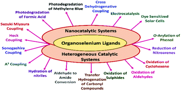 Graphical abstract: Organoselenium ligands for heterogeneous and nanocatalytic systems: development and applications
