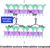 Graphical abstract: A novel approach to characterization of a relatively unstable intercalation compound under ambient conditions: revisiting a kaolinite-acetone intercalation compound