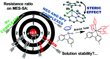 Graphical abstract: Half-sandwich organometallic Ru and Rh complexes of (N,N) donor compounds: effect of ligand methylation on solution speciation and anticancer activity
