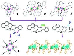 Graphical abstract: Dysprosium(iii) compounds assembled via a versatile ligand incorporating salicylic hydrazide and 8-hydroxyquinolin units: syntheses, structures and magnetic properties