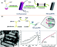 Graphical abstract: Efficient improvement in non-enzymatic glucose detection induced by the hollow prism-like NiCo2S4 electrocatalyst