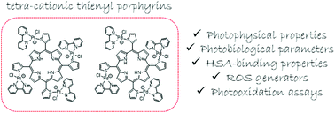 Graphical abstract: Photophysical, photooxidation, and biomolecule-interaction of meso-tetra(thienyl)porphyrins containing peripheral Pt(ii) and Pd(ii) complexes. Insights for photodynamic therapy applications