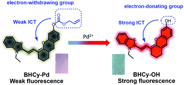 Graphical abstract: A highly sensitive sensor for colorimetric detection of palladium(ii) in lysosomes and its applications