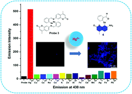 Graphical abstract: An efficient chemodosimeter for the detection of Hg(ii) via diselenide oxidation