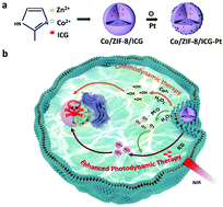 Graphical abstract: A tumor microenvironment-responsive Co/ZIF-8/ICG/Pt nanoplatform for chemodynamic and enhanced photodynamic antitumor therapy