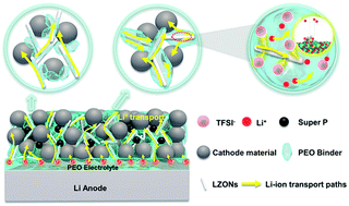 Graphical abstract: Constructing a highly efficient “solid–polymer–solid” elastic ion transport network in cathodes activates the room temperature performance of all-solid-state lithium batteries