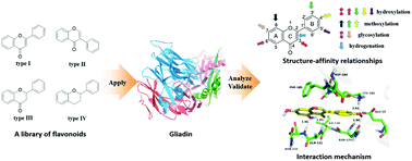 Graphical abstract: Insights from multi-spectroscopic analysis and molecular modeling to understand the structure–affinity relationship and the interaction mechanism of flavonoids with gliadin