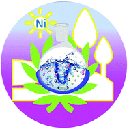 Graphical abstract: Organic reactions in aqueous media catalyzed by nickel