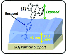 Graphical abstract: Immobilization of molecular catalysts on solid supports via atomic layer deposition for chemical synthesis in sustainable solvents
