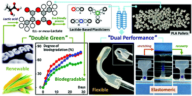 Graphical abstract: Lactide-derived ester oligomers for highly compatible poly(lactide) plasticizer produced through an eco-friendly process: renewable resources, biodegradation, enhanced flexibility, and elastomeric performance