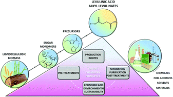 Graphical abstract: Production of levulinic acid and alkyl levulinates: a process insight
