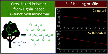 Graphical abstract: Bio-based photo-reversible self-healing polymer designed from lignin