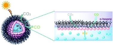 Graphical abstract: Water nanodomains for efficient photocatalytic CO2 reduction to CO