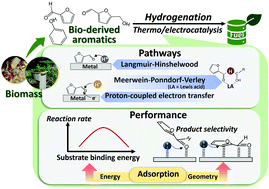 Graphical abstract: Mechanistic understanding of the catalytic hydrogenation of bio-derived aromatics