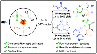 Graphical abstract: Divergent Ritter-type amination via photoredox catalytic four-component radical-polar crossover reactions