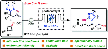 Graphical abstract: Photoinduced remote heteroaryl migration accompanied by cyanoalkylacylation in continuous flow