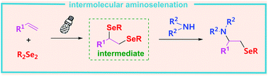Graphical abstract: Visible-light-induced intermolecular aminoselenation of alkenes