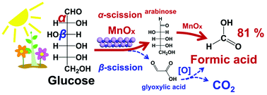 Graphical abstract: Manganese oxide as an alternative to vanadium-based catalysts for effective conversion of glucose to formic acid in water