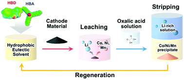 Graphical abstract: Cathode recycling of lithium-ion batteries based on reusable hydrophobic eutectic solvents