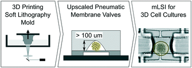 Graphical abstract: Upscaling of pneumatic membrane valves for the integration of 3D cell cultures on chip