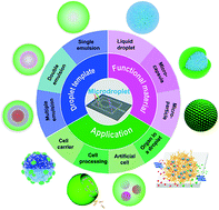 Graphical abstract: Microfluidic droplet-based functional materials for cell manipulation