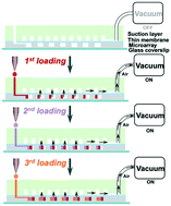 Graphical abstract: A vacuum-assisted, highly parallelized microfluidic array for performing multi-step digital assays