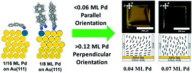 Graphical abstract: Coupling the chemical reactivity of bimetallic surfaces to the orientations of liquid crystals