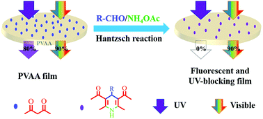 Graphical abstract: Facile fabrication of a polyvinyl alcohol-based hydrophobic fluorescent film via the Hantzsch reaction for broadband UV protection