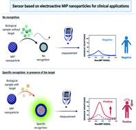 Graphical abstract: Determination of sitagliptin in human plasma using a smart electrochemical sensor based on electroactive molecularly imprinted nanoparticles