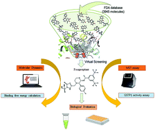 Graphical abstract: Identification of fosaprepitant as a novel GSTP1 inhibitor through structure-based virtual screening, molecular dynamics simulation, and biological evaluation